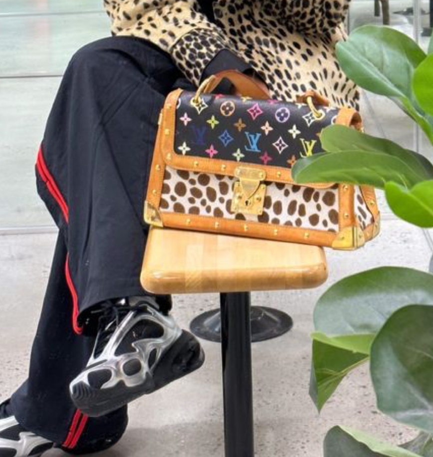 Louis Vuitton Takashi Murakami Dalmatian Bag
