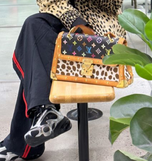 Louis Vuitton Takashi Murakami Dalmatian Bag